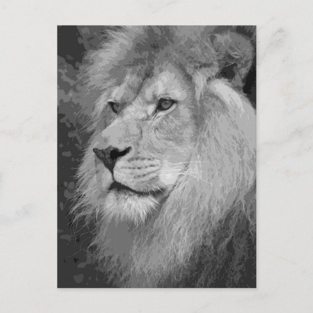 Carte Postale Lion (Devant)