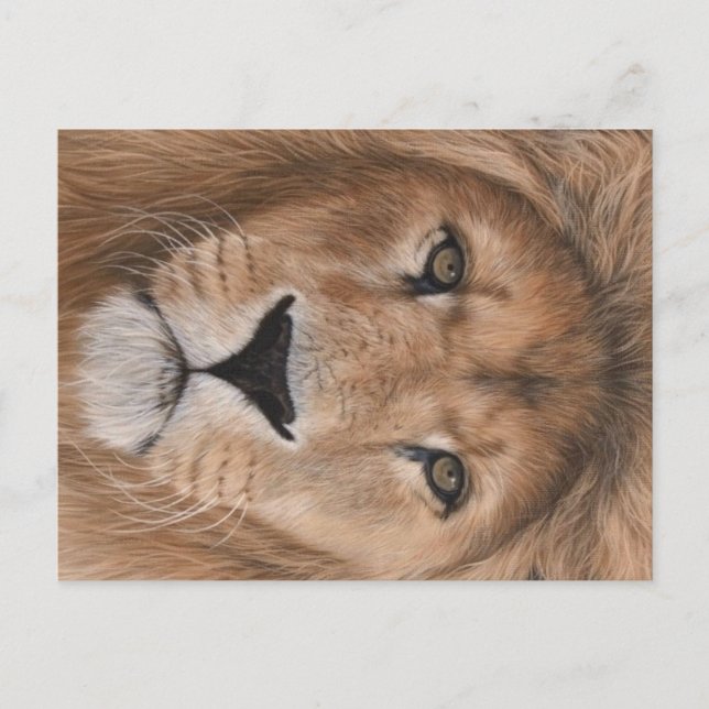 Carte postale Lion (Devant)