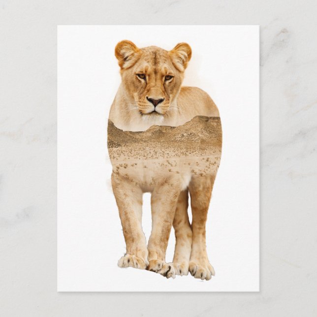 Carte postale Lion Africain Double Exposition (Devant)