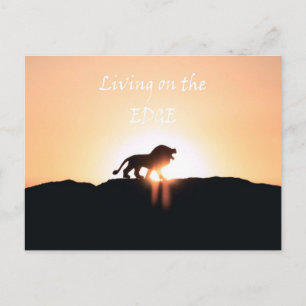 Carte Postale Lion au coucher du soleil Vivre sur la LIMITE