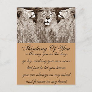 Carte Postale Lion, Courage, Puissance&Force_