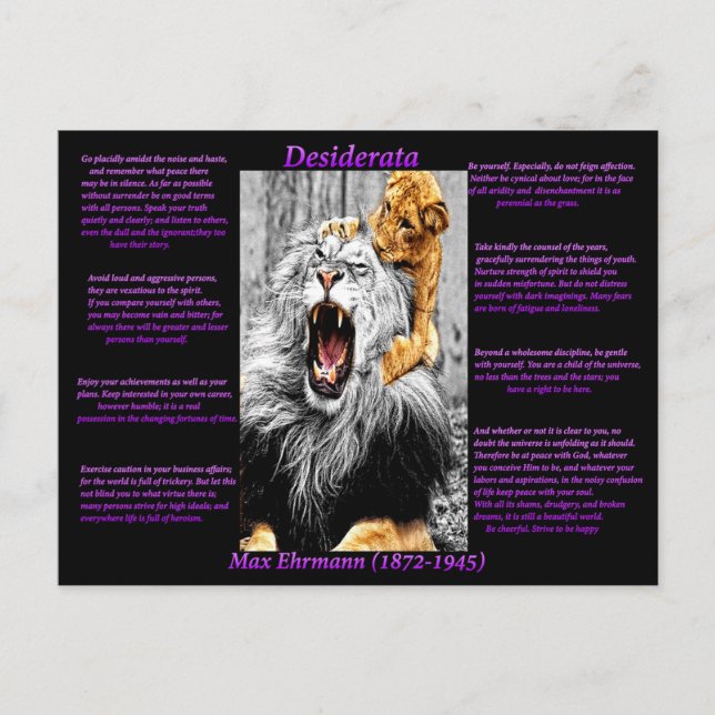 Carte Postale Lion Cub (Devant)