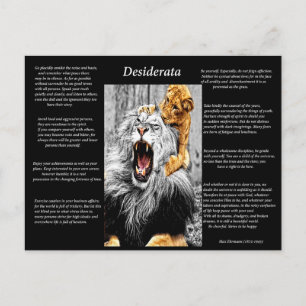 Carte Postale Lion Cub