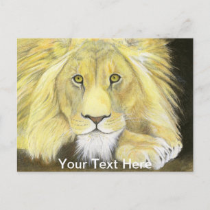 Carte Postale Lion d'Afrique