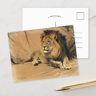 Carte Postale Lion de repos Wilhelm Kuhnert