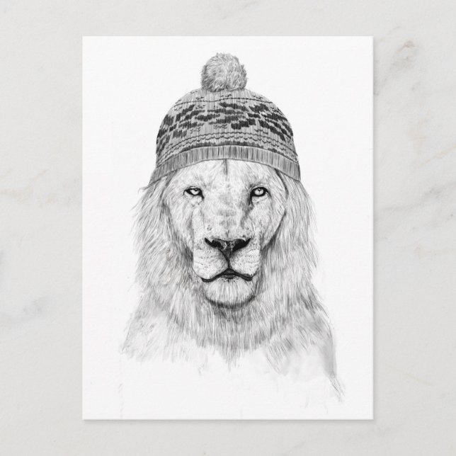 Carte Postale Lion d'hiver (bw) (Devant)