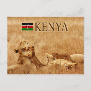 Carte Postale Lion et petit, Tsavo, Kenya