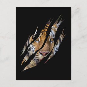 Carte Postale Lion Face Tiger Safari Claw déchirée
