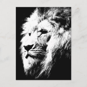 Carte Postale Lion Head Modern Black & White Pop Art Picture