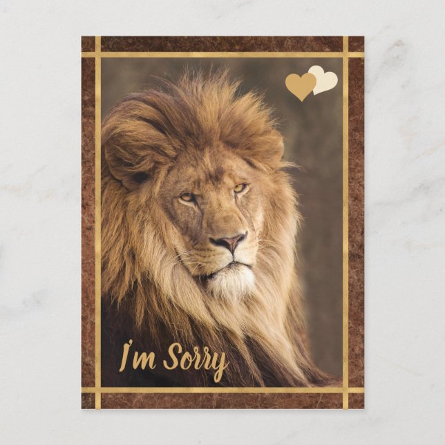 Carte Postale Lion Je suis désolé (Devant)