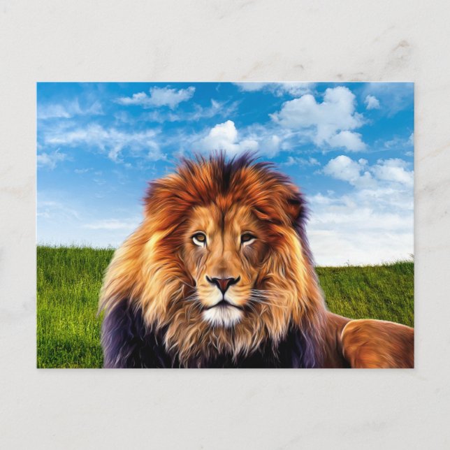 Carte Postale Lion le roi de la forêt (Devant)
