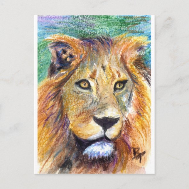 Carte postale Lion Portrait ACEO (Devant)