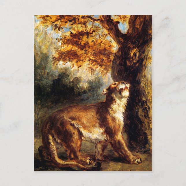 Carte Postale Lioness L'Embrasse (Devant)