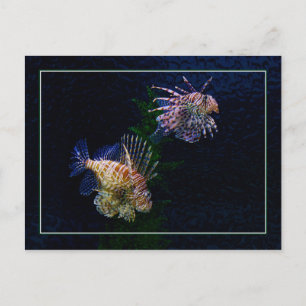 Carte Postale Lionfish Pair Postcards