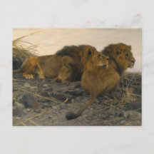 Lions à la veille par Wilhelm Kuhnert