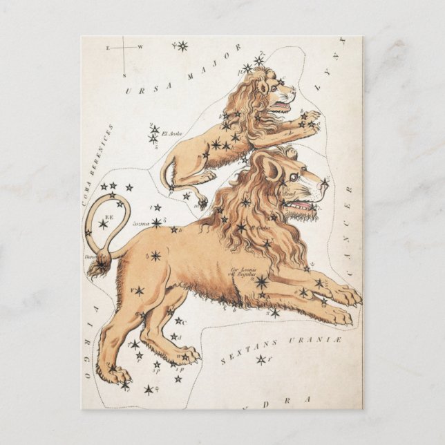 Carte Postale Lions célestes vintages (Devant)
