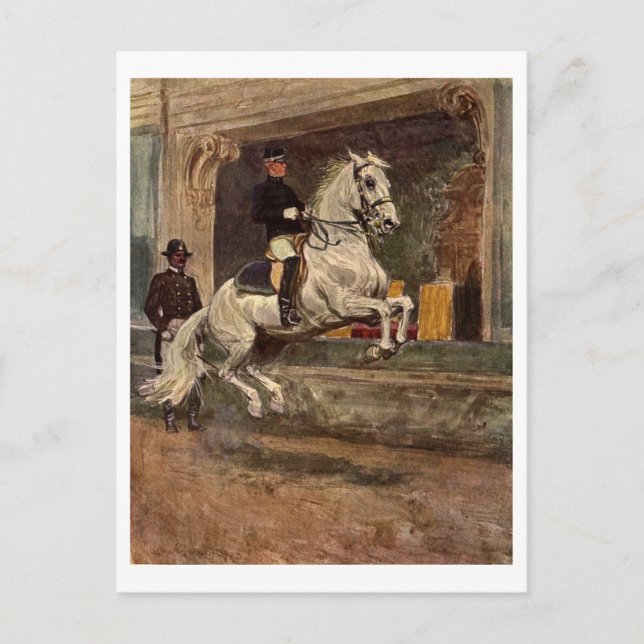 Carte Postale Lipizzan Dressage (Devant)