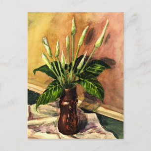 Carte Postale lis calla