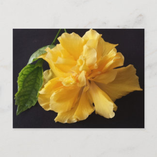 Carte Postale Lisa 1 - educatedbrainfart