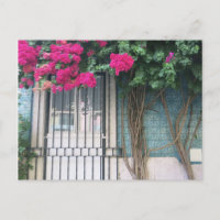Lisbonne Carreaux & Fleurs Bouganvillea