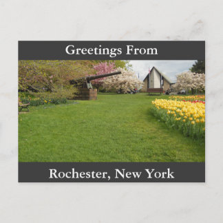 Carte Postale Lits Tulip & Cannon