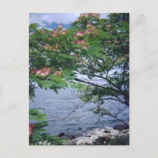 Carte Postale Little Bay Park, Queens, NY