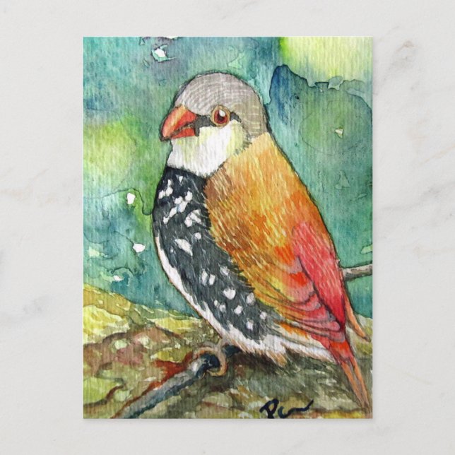 Carte Postale Little Birdy (Devant)