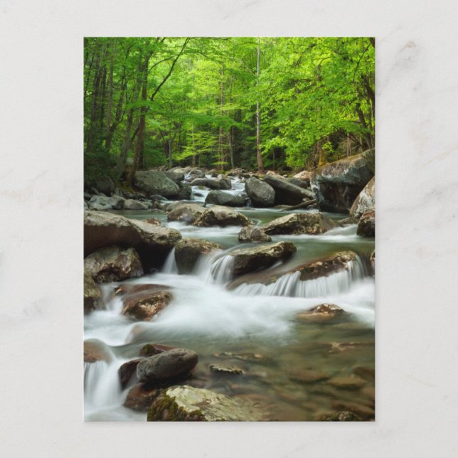 Carte Postale Little Pigeon River à Greenbrier (Devant)