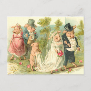 Carte Postale Little Piggy Wedding