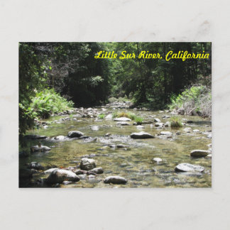 Carte Postale Little Sur