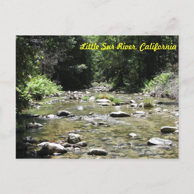 Carte Postale Little Sur (Devant)