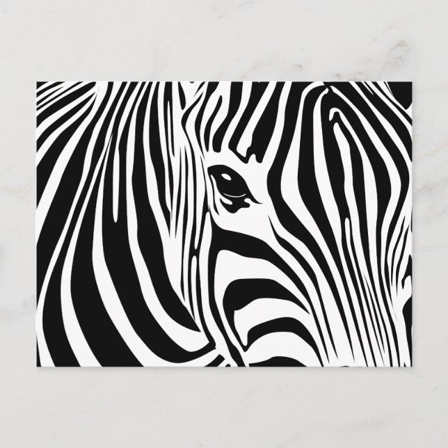 Carte postale Little Zebra (Devant)
