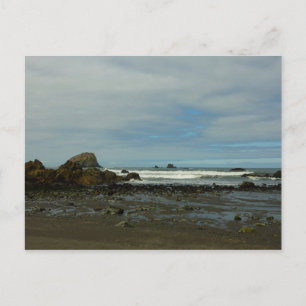 Carte Postale Littoral Pacifique au Parc national de Redwood