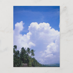 Carte Postale Littoral tropical