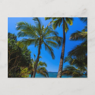 Carte Postale Littoral tropical 2