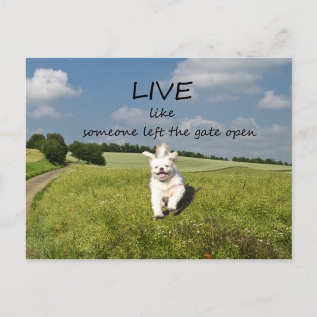 Carte Postale "Live Like One Left Gate Open" (Devant)