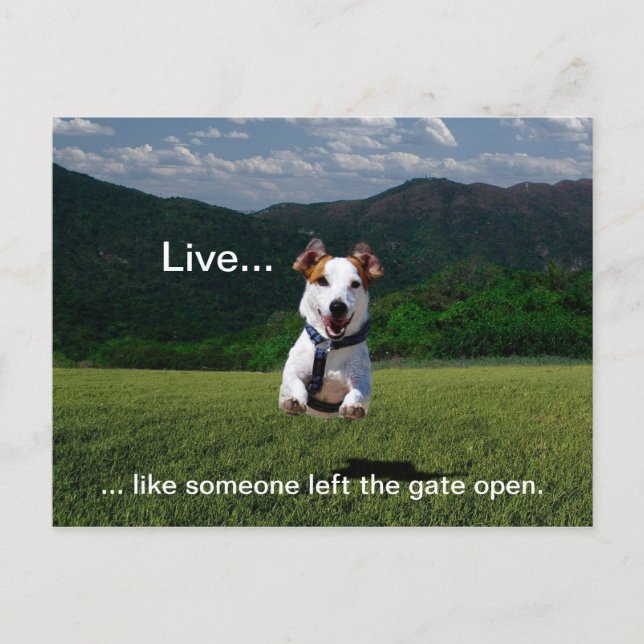 Carte Postale "Live Like One Left Gate Open" (Devant)