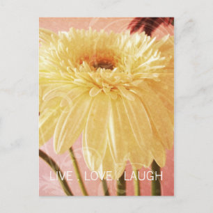 Carte Postale Live Love Laugh Gerbera Flower Grunge