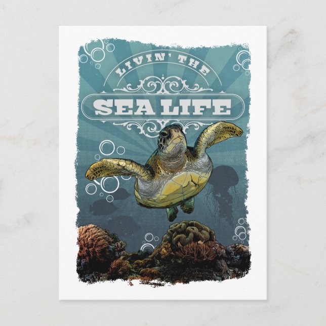 Carte postale Livin' Sea Life Turtle (Devant)