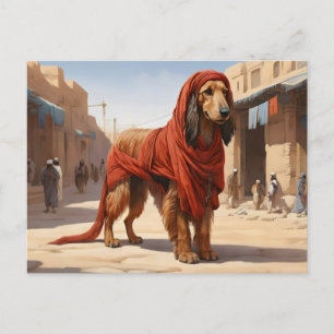 Carte Postale livre rouge afghan dans la ville antique