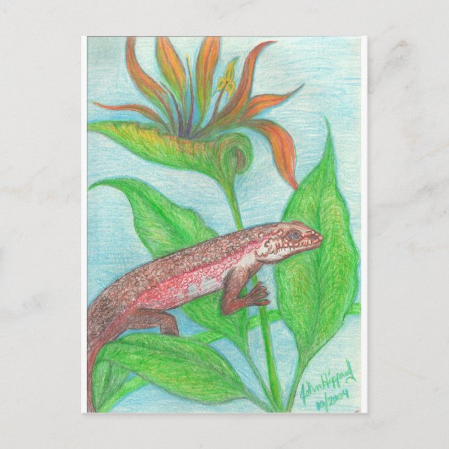 Carte Postale Lizzzard (Devant)