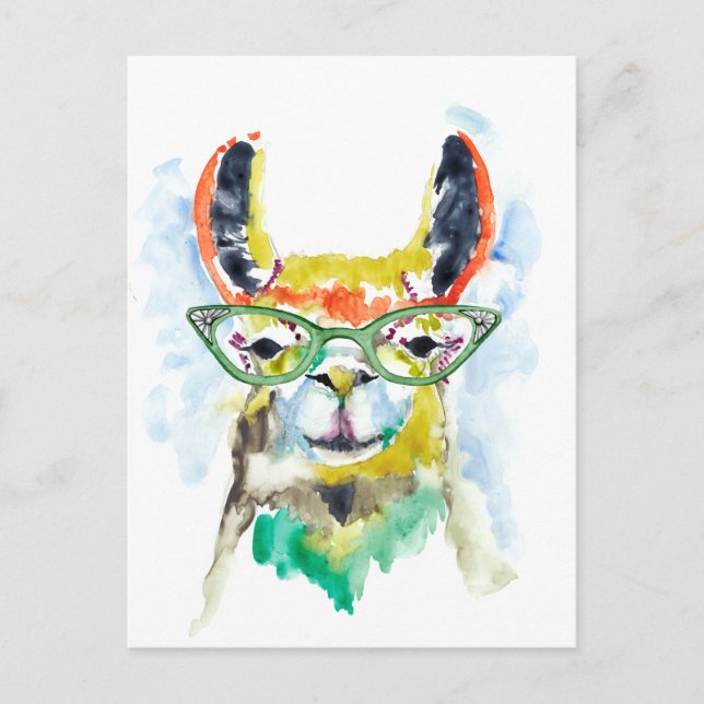 Carte Postale Llama à pantalons (Devant)
