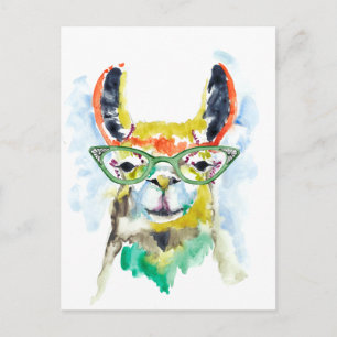 Carte Postale Llama à pantalons