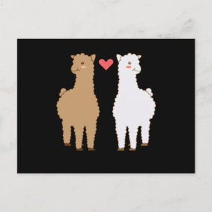 Carte Postale Llama Alpaca Llamas Alpacas Douce Animal Design