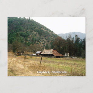 Carte Postale Llama Ranch........