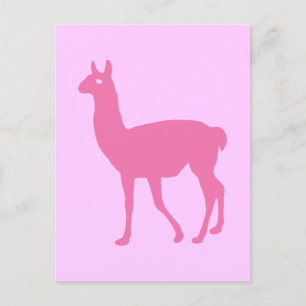 Carte Postale Llama rose