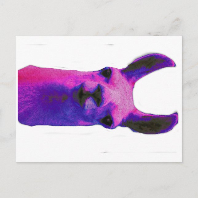 Carte Postale Llama rose (Devant)