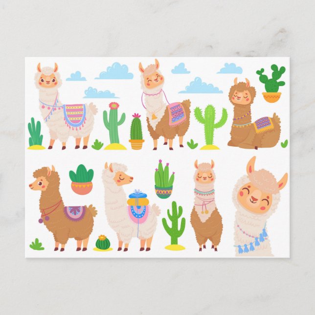 Carte Postale Llamas (Devant)