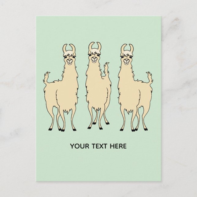 Carte Postale Llamas Ajoutez Votre Propre Message Texte (Devant)