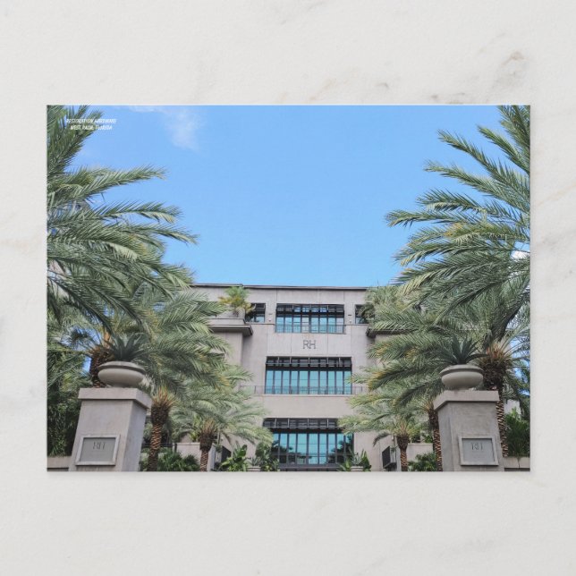 Carte Postale L'Oasis de Palm Ouest (Devant)